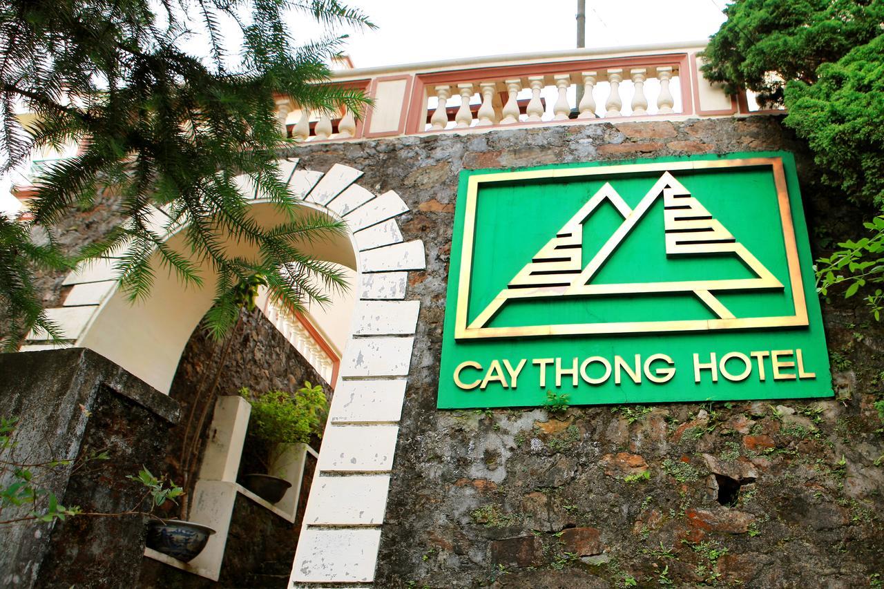 Khach San Cay Thong Hotel Tam Ðảo Екстериор снимка